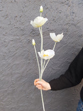 Last inn bildet i Galleri-visningsprogrammet, Valmue silkeblomst 109 cm
