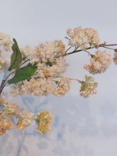 Last inn bildet i Galleri-visningsprogrammet, Silkeblomst 80 cm
